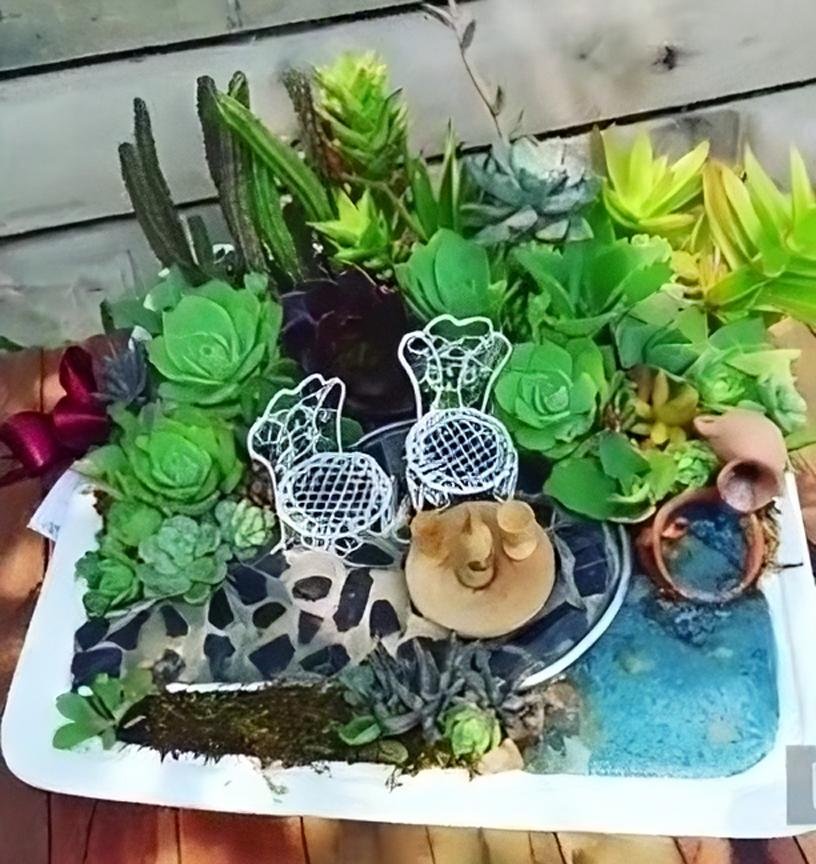 Mini jardines con suculentas