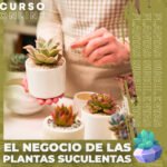 Curso suculentas